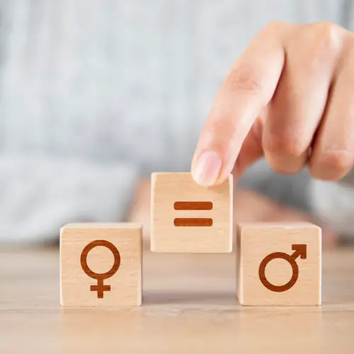 cubetti di legno con simboli maschile e femminile con in mezzo il simbolo di uguaglianza
